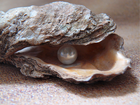 Finding the pearls: a practical approach for effective science storytelling