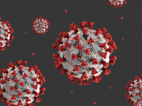 Will The Real Coronavirus Please Stand Up?