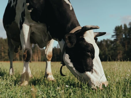 Communicating agriculture antimicrobial resistance: Critical to public health, unclear how to do it