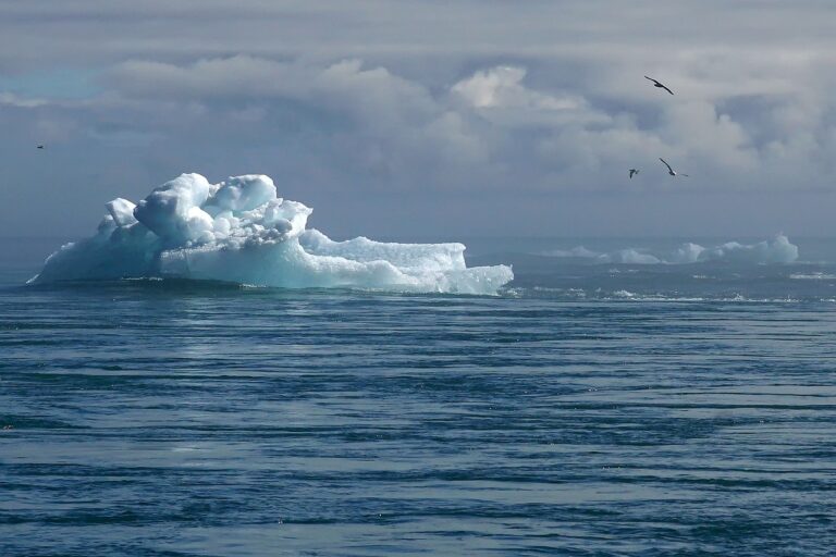 Photograph of a melting iceberg in the ocean, a symbol of the effects of climate change.