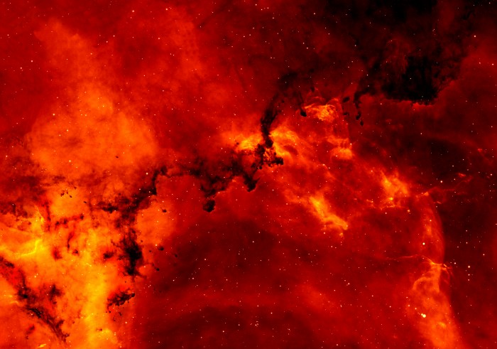 An astronomical image of hydrogen and dust in the Rosette Nebula of the Milky Way Galaxy is pictured. The picture of the nebula is in reds, bright filaments of orange, and dark clouds. There are also bright dots of white light scattered throughout.
