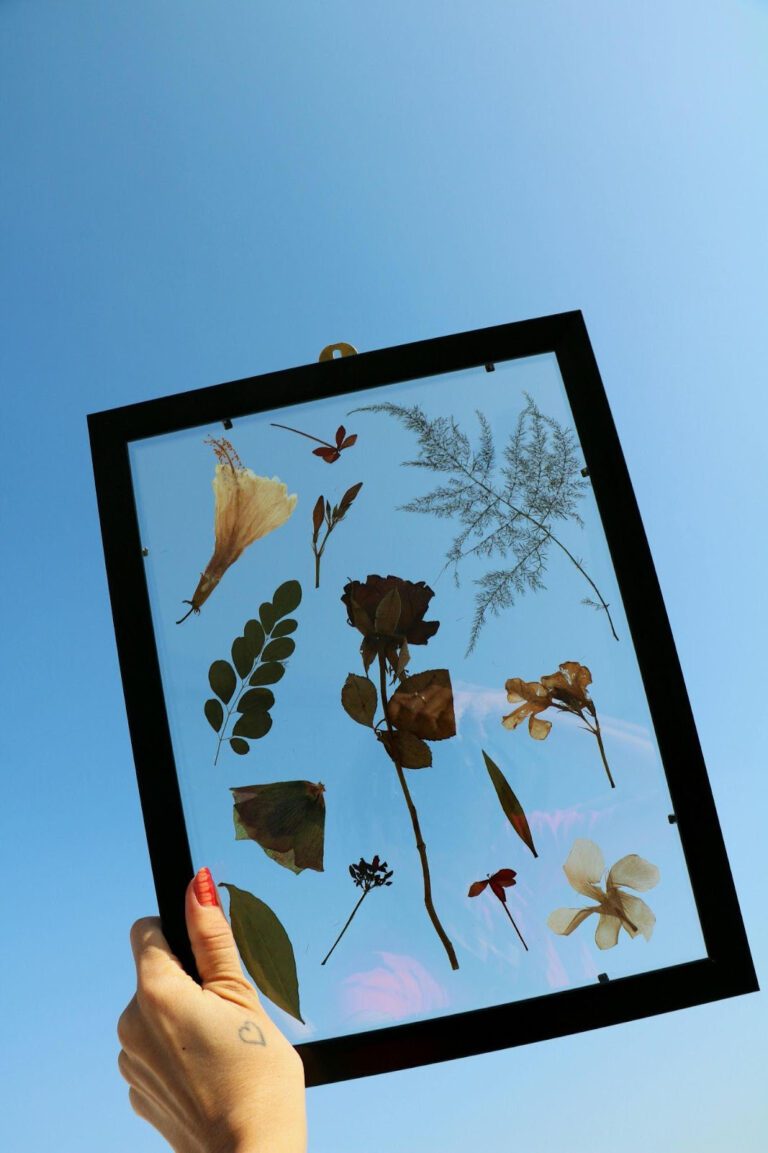 Hand with a heart tattoo under the thumb and red-painted nails holding an open back frame against a blue sky. Inside the frame, various leaves and flowers are displayed in an  orderly manner.