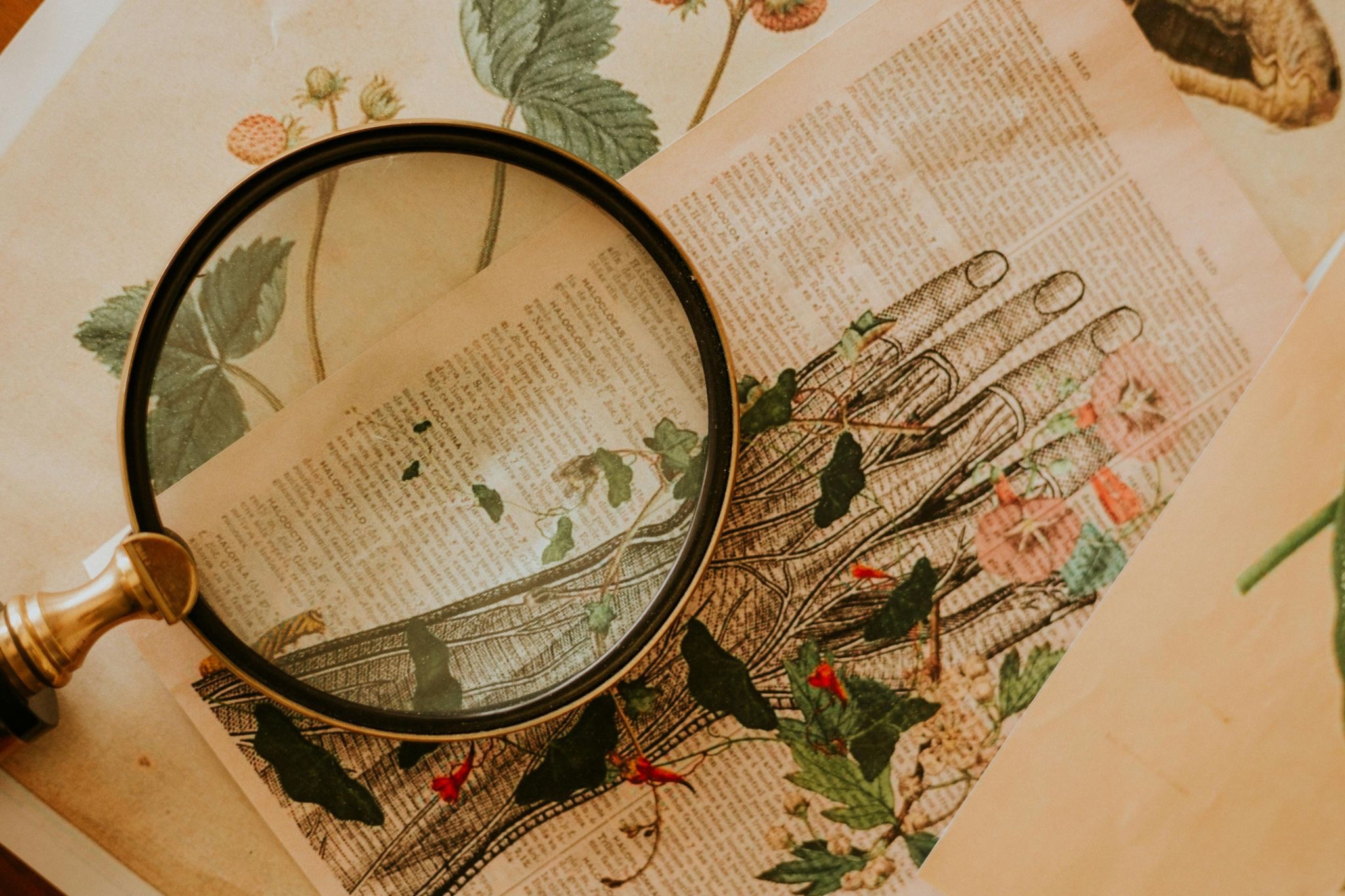 A close-up view of a magnifying glass and sketches of a human hand and plants on a desk.